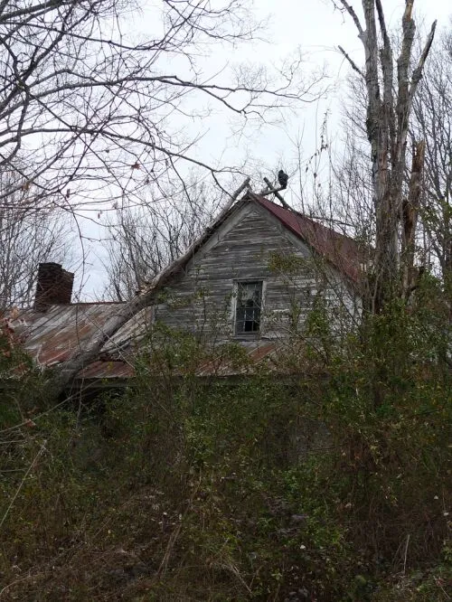 Haunted House Accidents: They Happen More Often Than You Think - Mukerji Law