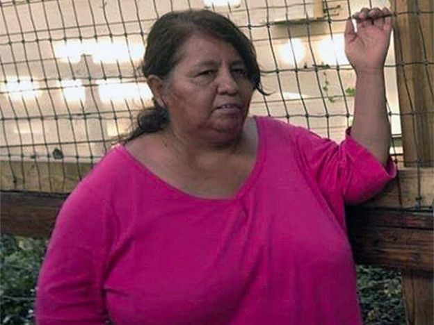 Lack Of Federal Regulations For Amusement Park Safety Standards - Mukerji Law