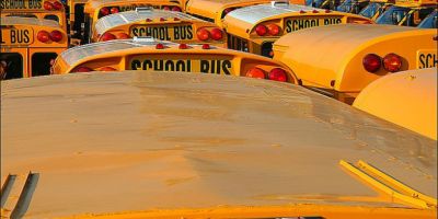 What Can You Sue A School For? - Mukerji Law