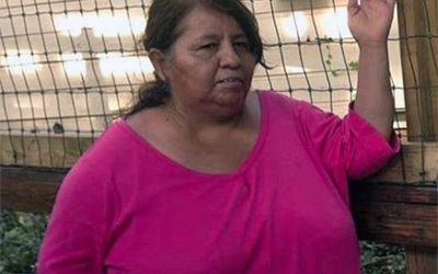 Lack Of Federal Regulations For Amusement Park Safety Standards - Mukerji Law